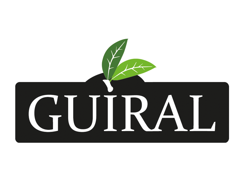frutas-guiral-logo