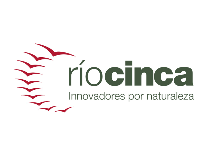 rio-cinca-logo